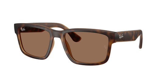 Ray-Ban RB4438L 58 Gents Sunglasses
