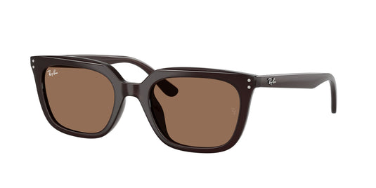Ray-Ban RB4439D 54 Unisex Sunglasses