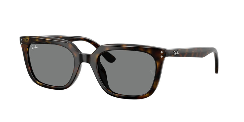 Load image into Gallery viewer, Ray-Ban RB4439D 54 Unisex Sunglasses

