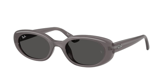 Ray-Ban RB4441D 53 Unisex Sunglasses