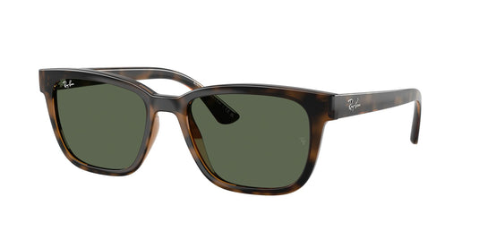 Ray-Ban RB4448L 56 Unisex Sunglasses