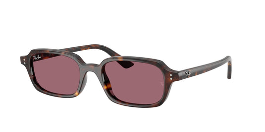 Ray-Ban RB4455 52 Unisex Sunglasses