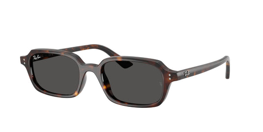 Ray-Ban RB4455 49 Unisex Sunglasses