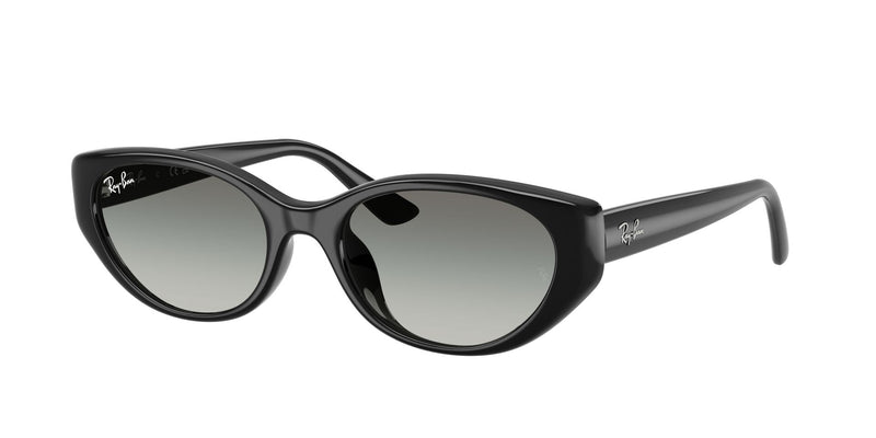 Load image into Gallery viewer, Ray-Ban RB4457D 55 Unisex Sunglasses
