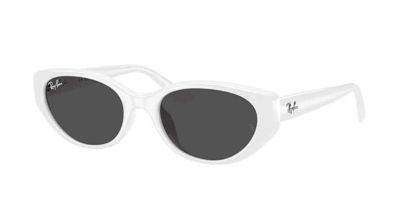 Load image into Gallery viewer, Ray-Ban RB4457D 55 Unisex Sunglasses
