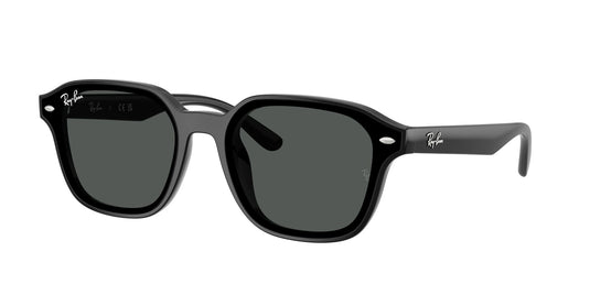 Ray-Ban RB4458D 65 Unisex Sunglasses