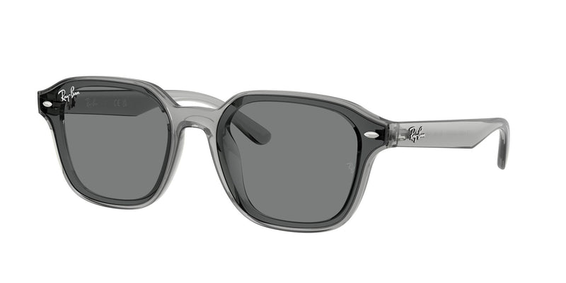 Load image into Gallery viewer, Ray-Ban RB4458D 65 Unisex Sunglasses
