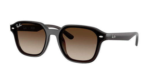 Ray-Ban RB4458D 65 Unisex Sunglasses