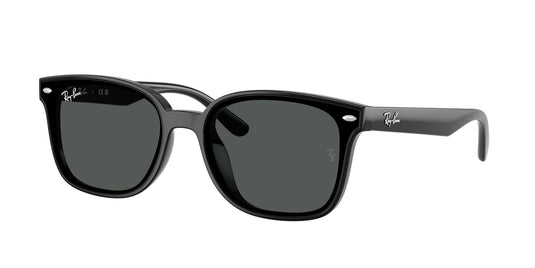Ray-Ban RB4461D 64 Unisex Sunglasses