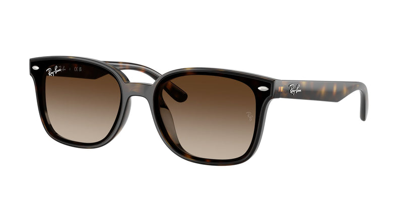 Load image into Gallery viewer, Ray-Ban RB4461D 64 Unisex Sunglasses
