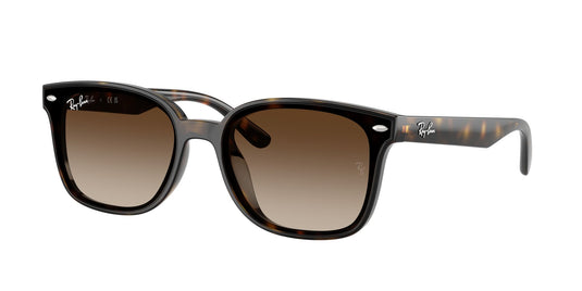 Ray-Ban RB4461D 64 Unisex Sunglasses