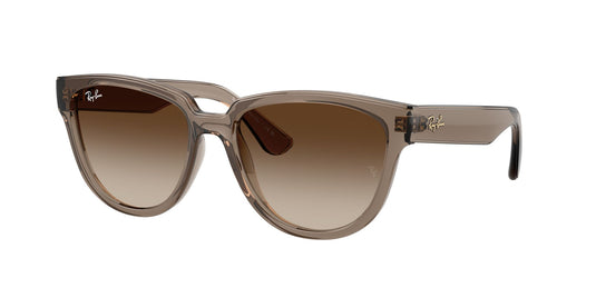 Ray-Ban RB4463L 56 Ladies Sunglasses