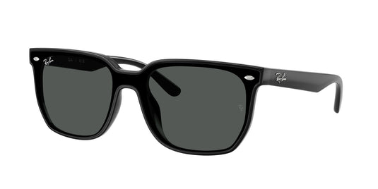 Ray-Ban RB4466D 47 Unisex Sunglasses