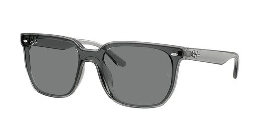 Ray-Ban RB4466D 47 Unisex Sunglasses