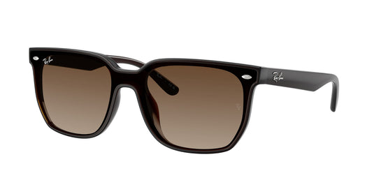 Ray-Ban RB4466D 47 Unisex Sunglasses