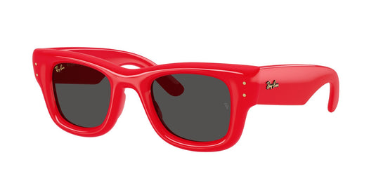 Ray-Ban RB4940 47 Unisex Sunglasses