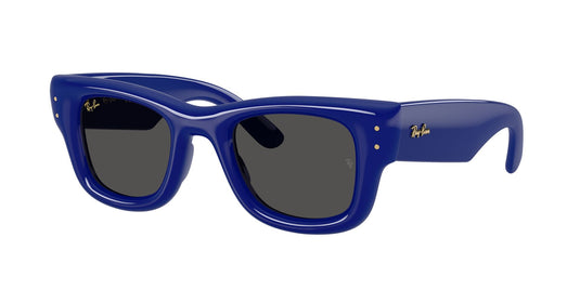 Ray-Ban RB4940 47 Unisex Sunglasses