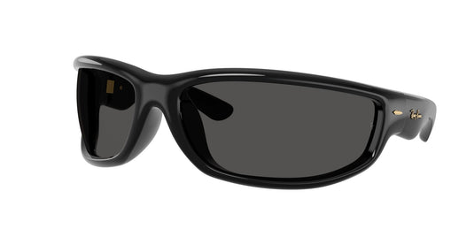 Ray-Ban RB4941 86 Unisex Sunglasses