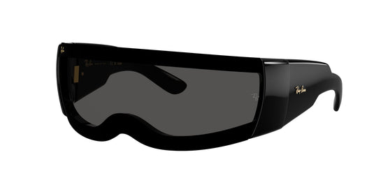 Ray-Ban RB4942 41 Unisex Sunglasses