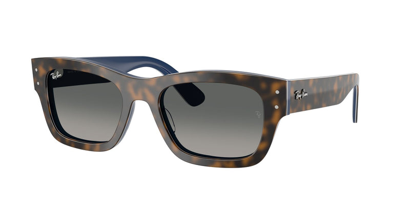 Load image into Gallery viewer, Ray-Ban RB7683S 55 Unisex Sunglasses
