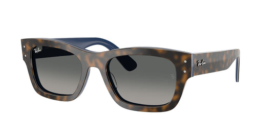 Ray-Ban RB7683S 55 Unisex Sunglasses
