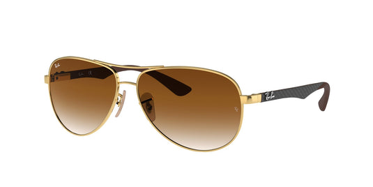 Ray-Ban RB8313 61 Gents Sunglasses