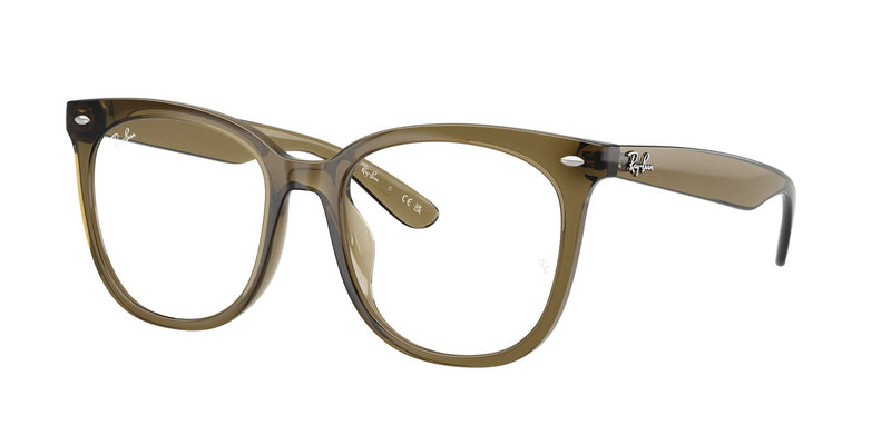 Load image into Gallery viewer, Ray-Ban Vista RX4379VD 53 Unisex Frame
