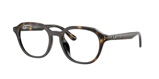 Ray-Ban Vista RX7259D 52 Gents Frame