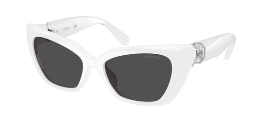 swarovski 0SK6047__10018G54