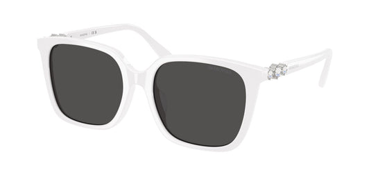 swarovski 0SK6053D__10508755