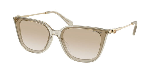 swarovski 0SK6054D__30031163