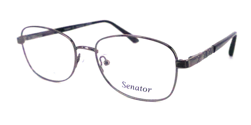Load image into Gallery viewer, Senator 251-C2 53 Unisex Frame
