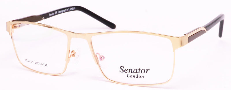 Load image into Gallery viewer, Senator S231-C3 55 Unisex Frame
