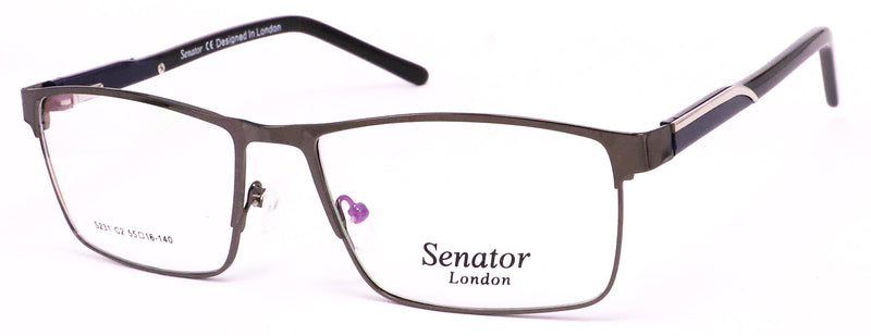 Load image into Gallery viewer, Senator S231-C3 55 Unisex Frame
