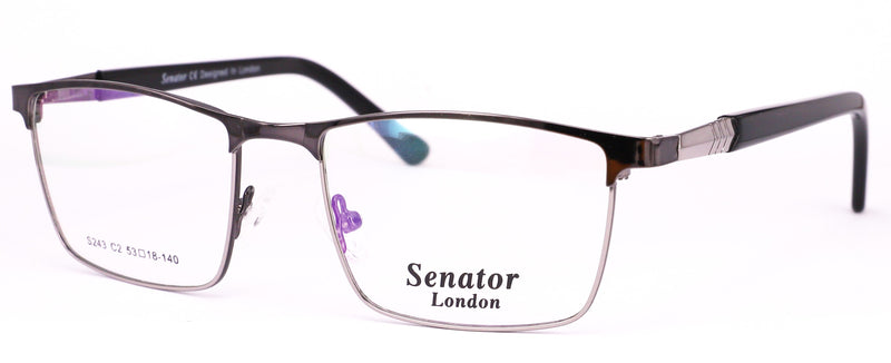 Load image into Gallery viewer, Senator S243-C1 53 Unisex Frame

