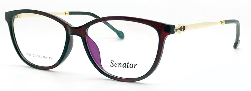 Load image into Gallery viewer, Senator S 604-C1 53 Unisex Frame

